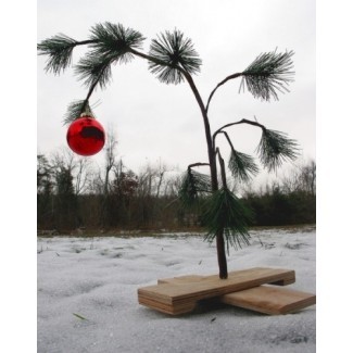  Hacer un árbol de Navidad de Charlie Brown escuálido 