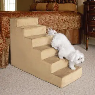  Escaleras para perros para peldaños altos | Foto de razas de perros 