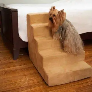  Snoozer Dog Steps - Camas y transportines para perros 