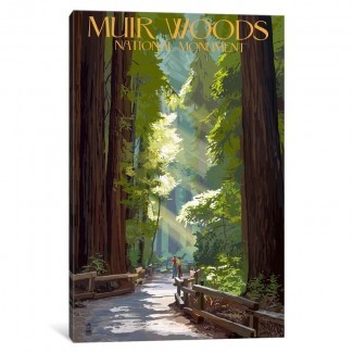 'EE. UU. Serie del Servicio de Parques Nacionales: Monumento Nacional Muir Woods (Secuoyas viejas) 'Anuncio vintage sobre lienzo 