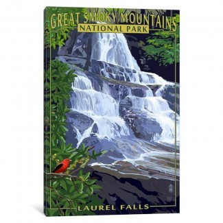  'EE. UU. Serie de Servicios del Parque Nacional: Parque Nacional Great Smoky Mountains (Laurel Falls) 'Anuncio Vintage sobre lienzo 