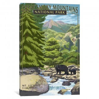  'EE. UU. Serie de Servicios del Parque Nacional: Parque Nacional de las Grandes Montañas Humeantes (Monte Le Conte) 'Anuncio Vintage sobre lienzo 