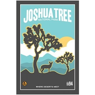  Joshua Tree National Park, California Travel Art Print Poster por Matt Brass 