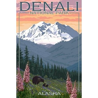  Parque Nacional Denali, Alaska - Osos y flores de primavera 