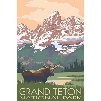  Parque Nacional Grand Teton - Moose and Mountains 