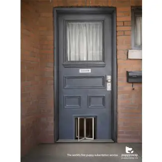  Puertas de seguridad para perros - Puertas para mascotas Melbourne 