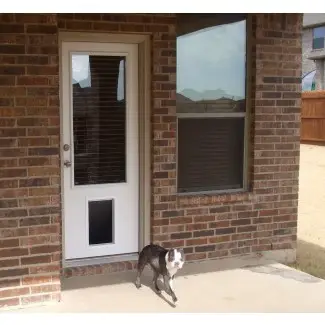  Puerta del patio con puerta para perros incorporada - 