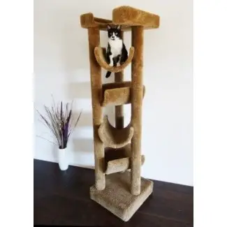  Mejor árbol de gato de Whisker City en venta - Foter 
