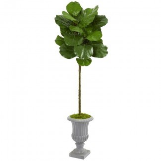  Artificial Fiddle Leaf Fig Tree in Urna decorativa 