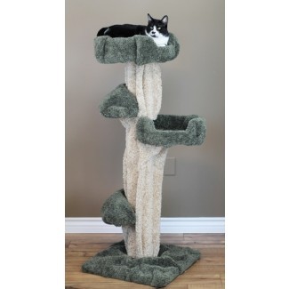  Cat Trees - New Cat Condos Unique Large Cat Play 