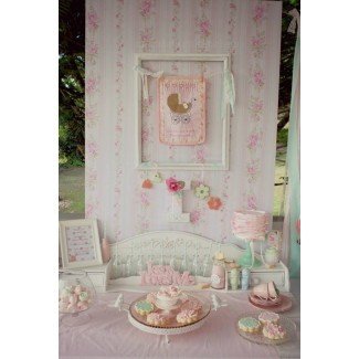  Baby Party Ideas Shabby Chic rosa y menta Baby Shower 