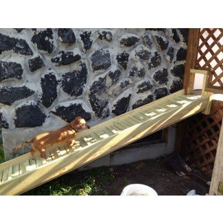  Más de 1000 imágenes sobre escaleras, escalones, rampas para perros en Pinterest ... 