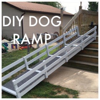  Rampa para perros de bricolaje sobre escaleras Rampa para perros Rampa de bricolaje para perros 
