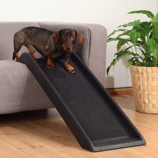  Rampa para perros para la cama Diy en rampas para perros de madera encantadora 