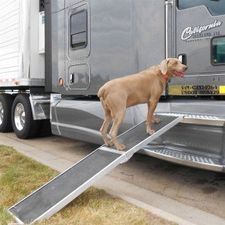  Rampa plegable para perros de aluminio para camiones y SUV | Descuento 