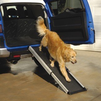  Pasos para perros para camas altas y automóviles | 