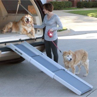  Rampa y escalera plegable para mascotas 2 en 1 para perro gato portátil 