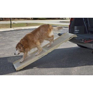  Cómo construir una rampa para perros: herramientas y materiales 
