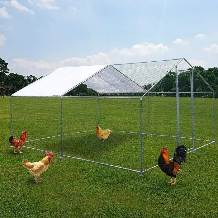 Silver White Metal Steel Walk-In Chicken Tractor With Chicken Run Tractor de pollo de acero de metal blanco plateado con gallinero