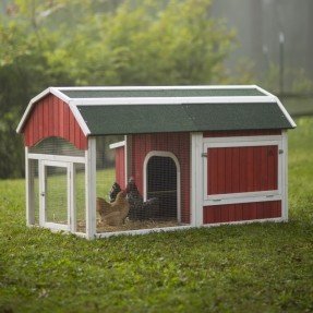  Red Barn Chicken Coop 