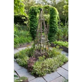  Enrejado obelisco de jardín 1 