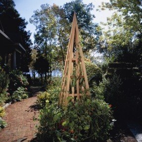  Obelisco en cedro 