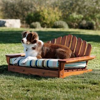  Muebles para perros al aire libre 