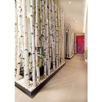  Diseño de partición de bambú 