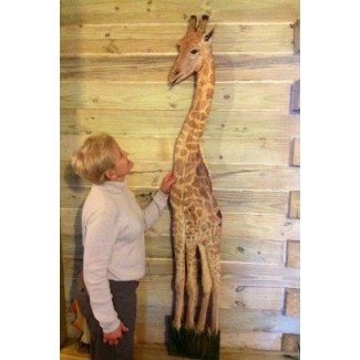  Motosierra de jirafa tallando 6 pies de altura 