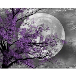  Pared de luna de árbol violeta blanco y negro 